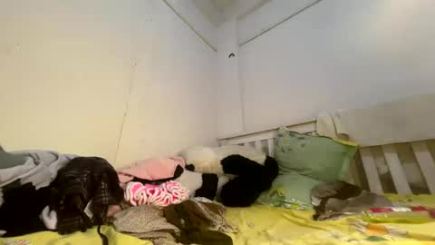 Luscious nita online show from 3, 4, 2026