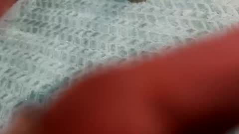 lust_4_daze online show from 20, 2, 2026