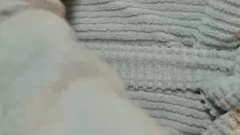 lustgardener67 online show from 9, 12, 2024