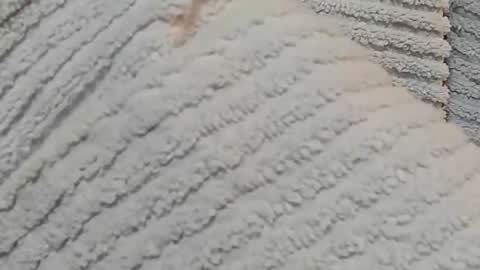 lustgardener67 online show from 15, 12, 2024