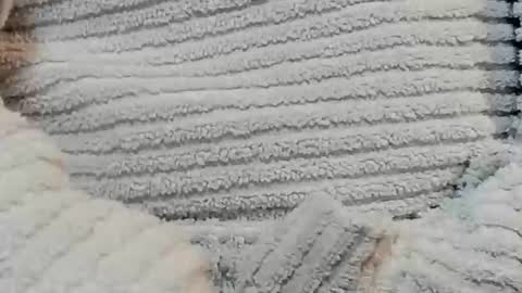 lustgardener67 online show from 15, 12, 2024