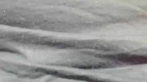 lustgardener67 online show from 9, 1, 2025