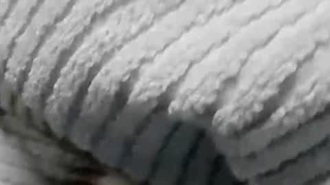 lustgardener67 online show from 19, 1, 2025