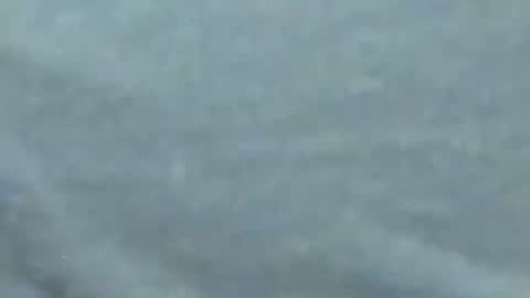 lustgardener67 online show from 27, 1, 2025