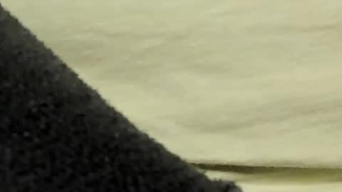 lustgardener67 online show from 27, 1, 2025