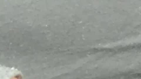 lustgardener67 online show from 4, 2, 2025