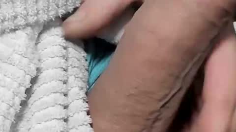 lustgardener67 online show from 4, 2, 2025