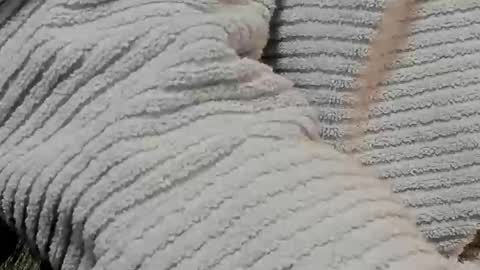 lustgardener67 online show from 9, 2, 2025