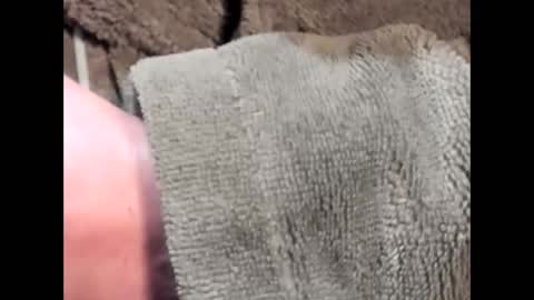 lustgardener67 online show from 4, 3, 2025