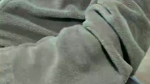 lustgardener67 online show from 7, 10, 2025