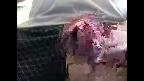 lutorres online show from 19, 9, 2025