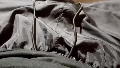 Snapshot of lvacd11 chatting on 26, 9, 2025 Lvac11 online show from 26, 9, 2025