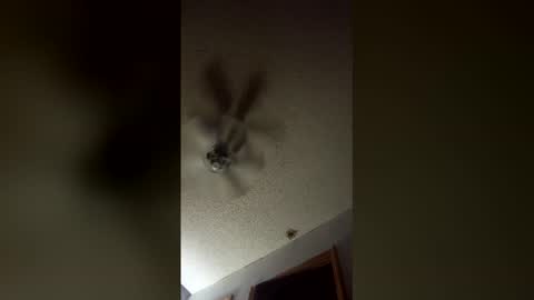 lvckthegoat online show from 12, 3, 2026