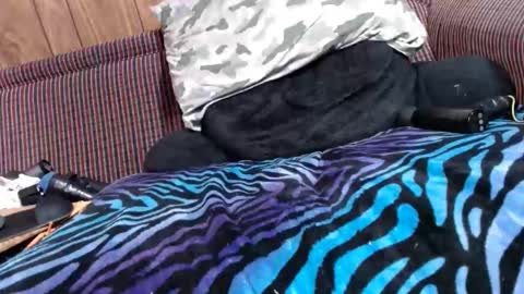 Lyke2fuck online show from 6, 2, 2025