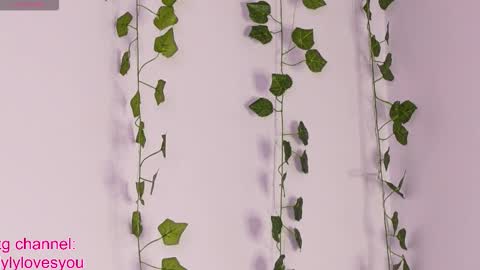 Lyly   online show from 6, 10, 2025