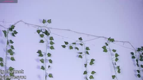 Lyly   online show from 13, 11, 2025