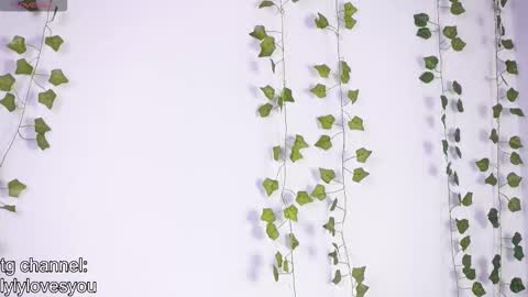 Lyly   online show from 17, 1, 2026