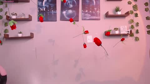 Snapshot of macey_hairy chatting on 1, 3, 2025 Macey Elliot Modelo Independiente online show from 1, 3, 2025