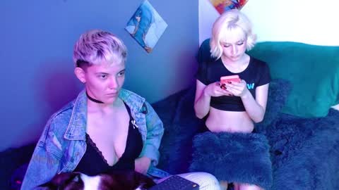 Snapshot of mackenziemoon chatting on 24, 12, 2024 Noah Askew online show from 24, 12, 2024