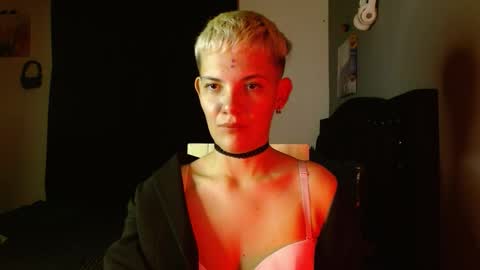 Noah Askew online show from 14, 1, 2026