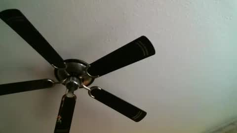 Manuel online show from 5, 1, 2025