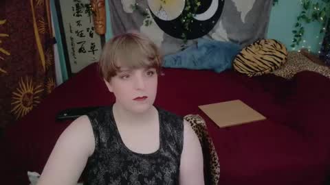 Maddy Cat online show from 27, 10, 2025