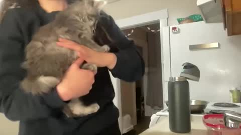 maddyhasyummypussy online show from 15, 12, 2025