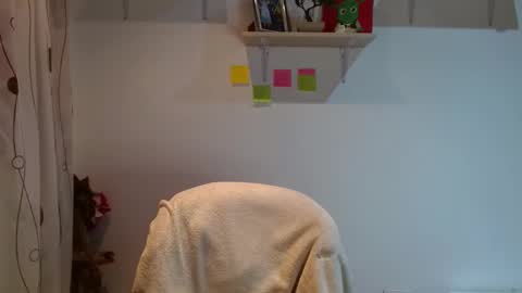 Madison Cambel online show from 12, 2, 2025