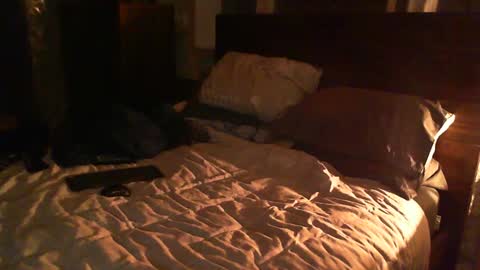 Snapshot of madmax0133 chatting on 26, 2, 2025 Guigui online show from 26, 2, 2025