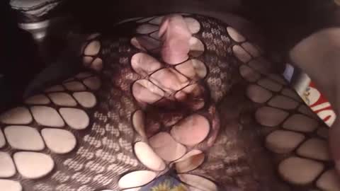 maestro2017 online show from 8, 1, 2026