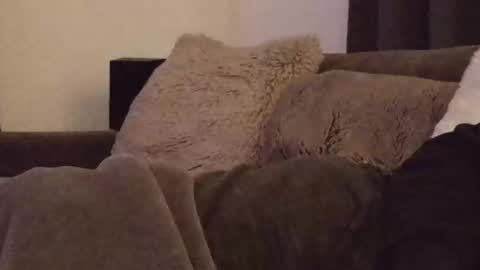 Snapshot of magic_passionitaliano chatting on 3, 3, 2026 magic_passionitaliano online show from 3, 3, 2026