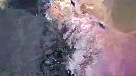 maho0 online show from 13, 12, 2024