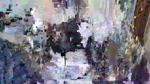 maialinofriuli online show from 5, 10, 2025