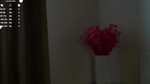 Lucy online show from 12, 2, 2025