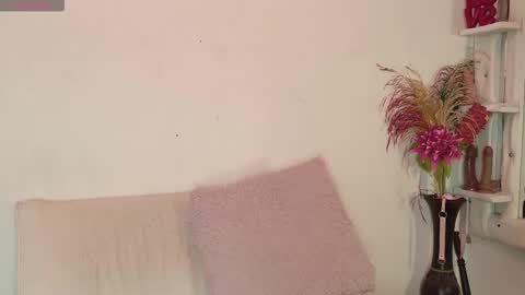 Maki online show from 18, 2, 2026