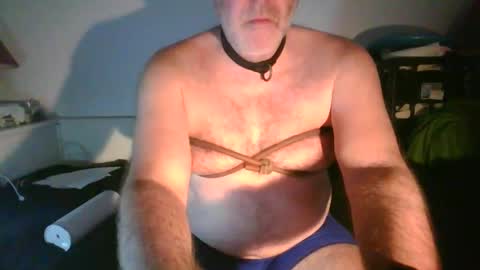 Snapshot of malebdsmslut chatting on 25, 11, 2025 CommandbondageNipples bondage kink submissive lovense slave wgear. modequiethvyBondage If Password goldfish online show from 25, 11, 2025