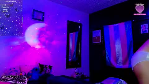   online show from 27, 2, 2026