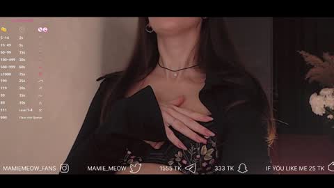 Snapshot of mamiemeow chatting on 29, 1, 2025 Your Miss Alice online show from 29, 1, 2025