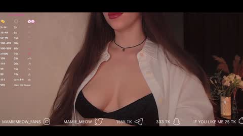 Snapshot of mamiemeow chatting on 3, 2, 2025 Your Miss Alice online show from 3, 2, 2025