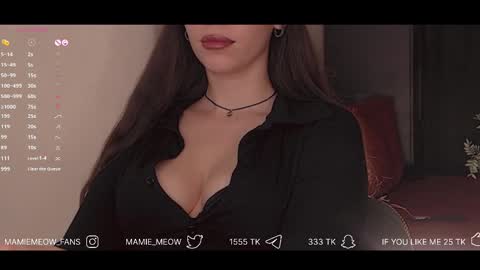 Snapshot of mamiemeow chatting on 12, 2, 2025 Your Miss Alice online show from 12, 2, 2025