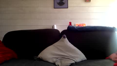 Manpo online show from 12, 10, 2025