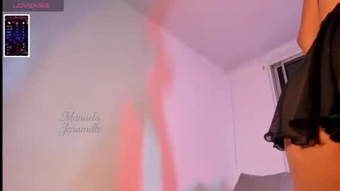 Snapshot of manuela_jaramillo chatting on 19, 2, 2026 manuela_jaramillo online show from 19, 2, 2026