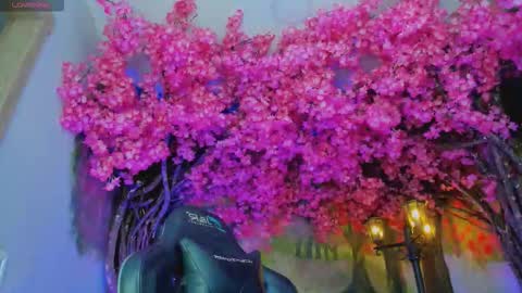 Mara Hanson online show from 7, 1, 2026