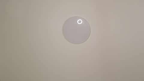 sofia online show from 29, 11, 2025