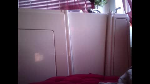 MariahJade95 online show from 12, 2, 2025