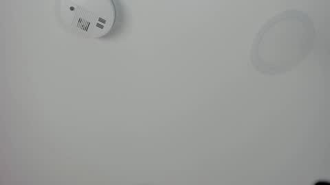 Maria Pettit online show from 8, 3, 2026