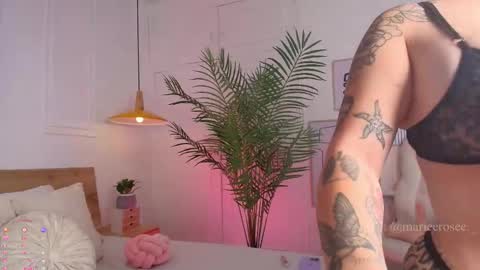 Mary online show from 24, 5, 2026