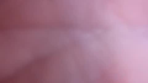 mark2711568331 online show from 4, 11, 2025