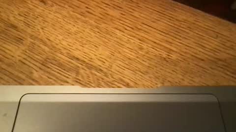 marklondonguy2023 online show from 27, 11, 2025