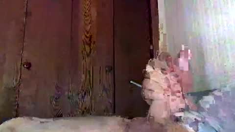 marmiles58 online show from 20, 9, 2025